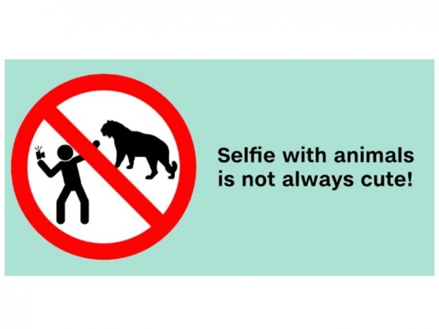 Russia-warns-its-citizens-about-taking-dangerous-selfies-3-620x465