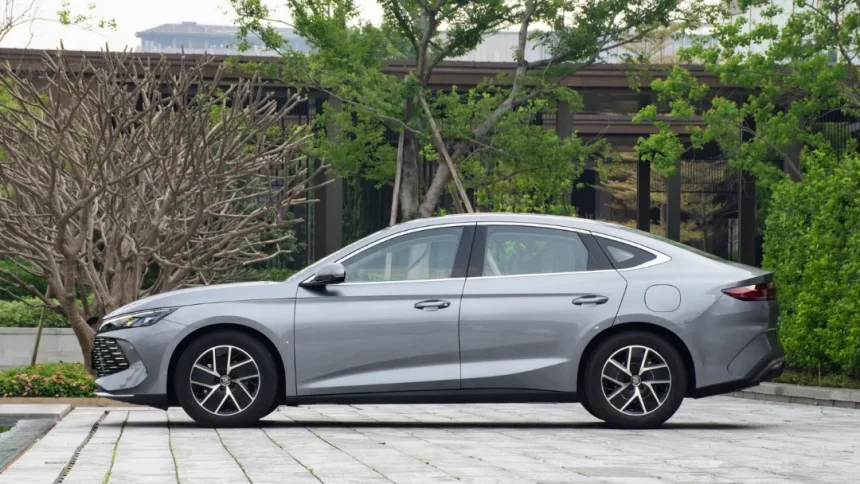 بیوایدی Qin-L