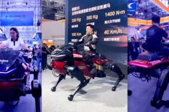 Cyber Horse
